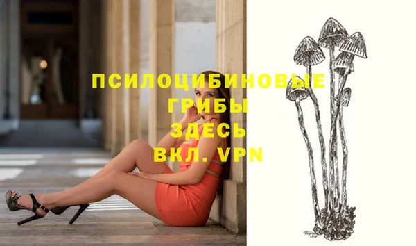 твердый Новозыбков