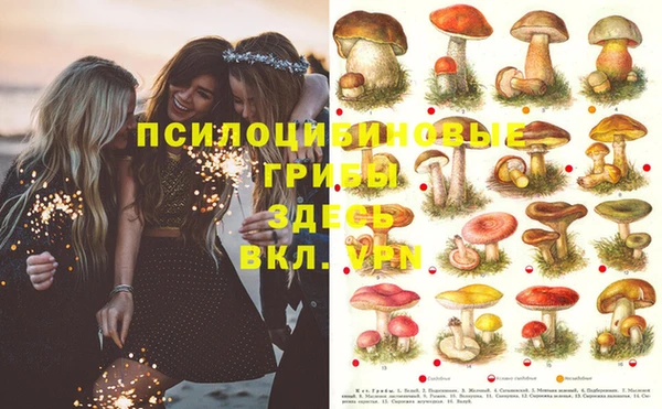 таблы Абаза