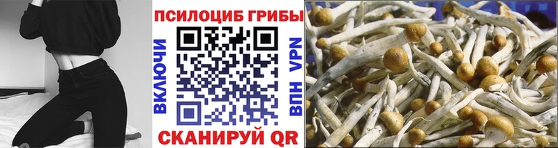 Псилоцибиновые грибы GOLDEN TEACHER Звенигород